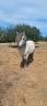 <img alt='Zoom image' src='images/b_search.png'><b>&nbsp;Cliquez pour zoomer</b>