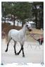 <img alt='Zoom image' src='images/b_search.png'><b>&nbsp;Cliquez pour zoomer</b>