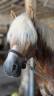 <img alt='Zoom image' src='images/b_search.png'><b>&nbsp;Cliquez pour zoomer</b>