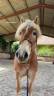 <img alt='Zoom image' src='images/b_search.png'><b>&nbsp;Cliquez pour zoomer</b>