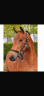 <img alt='Zoom image' src='images/b_search.png'><b>&nbsp;Cliquez pour zoomer</b>
