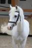 <img alt='Zoom image' src='images/b_search.png'><b>&nbsp;Cliquez pour zoomer</b>
