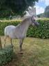 <img alt='Zoom image' src='images/b_search.png'><b>&nbsp;Cliquez pour zoomer</b>
