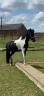 <img alt='Zoom image' src='images/b_search.png'><b>&nbsp;Cliquez pour zoomer</b>