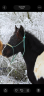 <img alt='Zoom image' src='images/b_search.png'><b>&nbsp;Cliquez pour zoomer</b>