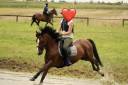 <img alt='Zoom image' src='images/b_search.png'><b>&nbsp;Cliquez pour zoomer</b>