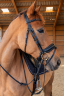 <img alt='Zoom image' src='images/b_search.png'><b>&nbsp;Cliquez pour zoomer</b>
