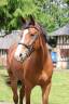 <img alt='Zoom image' src='images/b_search.png'><b>&nbsp;Cliquez pour zoomer</b>
