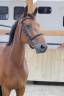 <img alt='Zoom image' src='images/b_search.png'><b>&nbsp;Cliquez pour zoomer</b>