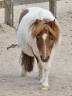 <img alt='Zoom image' src='images/b_search.png'><b>&nbsp;Cliquez pour zoomer</b>