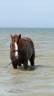 <img alt='Zoom image' src='images/b_search.png'><b>&nbsp;Cliquez pour zoomer</b>
