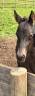 <img alt='Zoom image' src='images/b_search.png'><b>&nbsp;Cliquez pour zoomer</b>