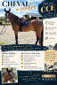 <img alt='Zoom image' src='images/b_search.png'><b> Cliquez pour zoomer</b>
