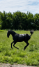 <img alt='Zoom image' src='images/b_search.png'><b>&nbsp;Cliquez pour zoomer</b>