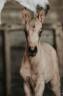 <img alt='Zoom image' src='images/b_search.png'><b>&nbsp;Cliquez pour zoomer</b>