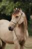<img alt='Zoom image' src='images/b_search.png'><b>&nbsp;Cliquez pour zoomer</b>