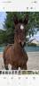 <img alt='Zoom image' src='images/b_search.png'><b>&nbsp;Cliquez pour zoomer</b>