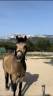 <img alt='Zoom image' src='images/b_search.png'><b>&nbsp;Cliquez pour zoomer</b>