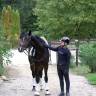 <img alt='Zoom image' src='images/b_search.png'><b>&nbsp;Cliquez pour zoomer</b>