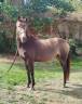<img alt='Zoom image' src='images/b_search.png'><b>&nbsp;Cliquez pour zoomer</b>