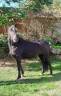 <img alt='Zoom image' src='images/b_search.png'><b>&nbsp;Cliquez pour zoomer</b>