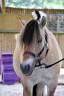 <img alt='Zoom image' src='images/b_search.png'><b> Cliquez pour zoomer</b>