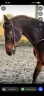 <img alt='Zoom image' src='images/b_search.png'><b>&nbsp;Cliquez pour zoomer</b>