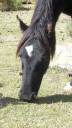 <img alt='Zoom image' src='images/b_search.png'><b> Cliquez pour zoomer</b>