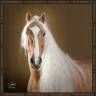 <img alt='Zoom image' src='images/b_search.png'><b> Cliquez pour zoomer</b>