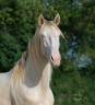<img alt='Zoom image' src='images/b_search.png'><b> Cliquez pour zoomer</b>
