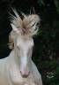 <img alt='Zoom image' src='images/b_search.png'><b> Cliquez pour zoomer</b>