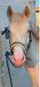 <img alt='Zoom image' src='images/b_search.png'><b> Cliquez pour zoomer</b>