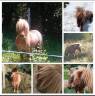 <img alt='Zoom image' src='images/b_search.png'><b> Cliquez pour zoomer</b>
