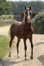 <img alt='Zoom image' src='images/b_search.png'><b> Cliquez pour zoomer</b>