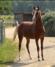 <img alt='Zoom image' src='images/b_search.png'><b> Cliquez pour zoomer</b>
