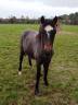 <img alt='Zoom image' src='images/b_search.png'><b> Cliquez pour zoomer</b>
