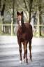 <img alt='Zoom image' src='images/b_search.png'><b> Cliquez pour zoomer</b>