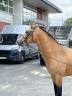 <img alt='Zoom image' src='images/b_search.png'><b> Cliquez pour zoomer</b>