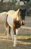 <img alt='Zoom image' src='images/b_search.png'><b> Cliquez pour zoomer</b>
