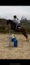 <img alt='Zoom image' src='images/b_search.png'><b> Cliquez pour zoomer</b>