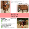 <img alt='Zoom image' src='images/b_search.png'><b> Cliquez pour zoomer</b>