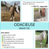 <img alt='Zoom image' src='images/b_search.png'><b> Cliquez pour zoomer</b>