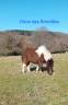 <img alt='Zoom image' src='images/b_search.png'><b> Cliquez pour zoomer</b>