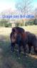 <img alt='Zoom image' src='images/b_search.png'><b> Cliquez pour zoomer</b>