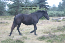 <img alt='Zoom image' src='images/b_search.png'><b> Cliquez pour zoomer</b>