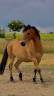 <img alt='Zoom image' src='images/b_search.png'><b> Cliquez pour zoomer</b>