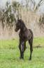 <img alt='Zoom image' src='images/b_search.png'><b> Cliquez pour zoomer</b>