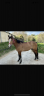 <img alt='Zoom image' src='images/b_search.png'><b> Cliquez pour zoomer</b>