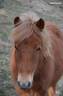 <img alt='Zoom image' src='images/b_search.png'><b> Cliquez pour zoomer</b>