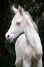 <img alt='Zoom image' src='images/b_search.png'><b> Cliquez pour zoomer</b>